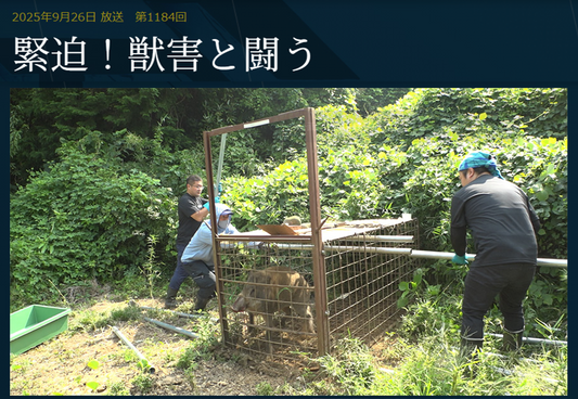 テレビ東京『日経スペシャル ガイアの夜明け』で取り上げられました