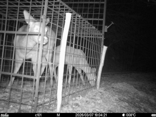 受付終了【山梨県小菅村】4/19（日）現地見学会を開催します！