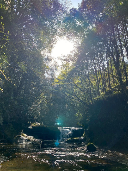 【千葉県富津市豊岡】5/9（土）現地見学会を開催します！