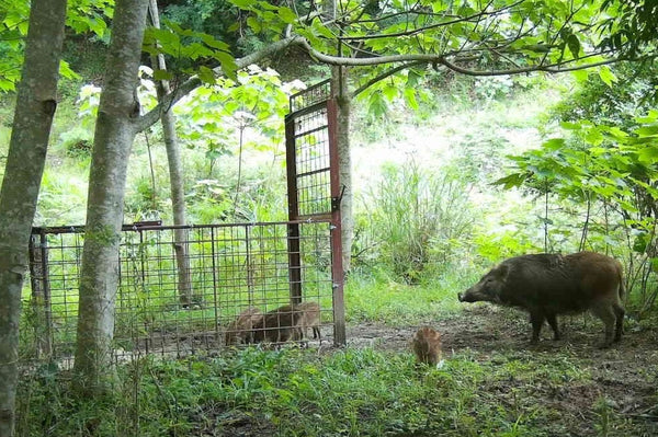 夏休みは地域を比較してみよう｜豊岡で自由研究のヒントが見つかるかも！